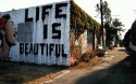 life.
