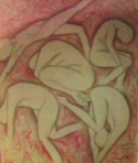 Bodies