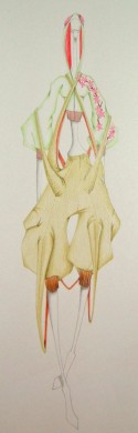 cavalletta