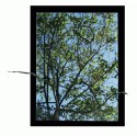 Bosque Petrificado