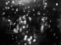 Raindrops II