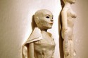 Beings