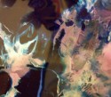 Artistic Mess