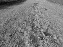 Gravel