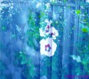 coolflowers