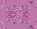delicatelikearoseball