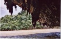Baie de Samana