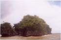Baie de Samana