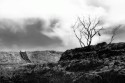 Path