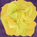 Total Art of Peace