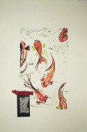 KOI IV