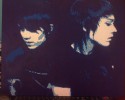 Tegan and Sara Commission