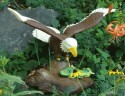 American Bald Eagle - Sculpture