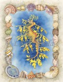 Leafy Sea Dragon
