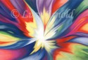 Burst of Joy