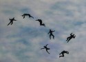 The magnificent seven