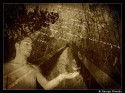 Forbidden Memories II