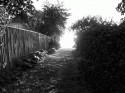 Path