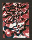 fleischblume