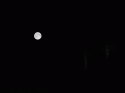 Dear old moon