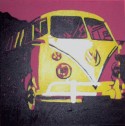 Splitty in yellow and red