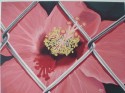 Beauty on the brink of Communism