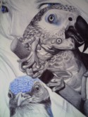 Blue Birds