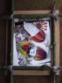 Cacao Haven