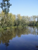 de l'eau et des reflets