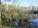 de l eau et des reflets