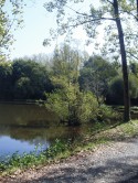 de l' eau et des reflets