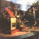Dollhouse