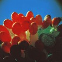 balloons