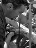 'O Majo: preparazione