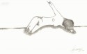 naked lady 1