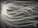 Dissolving
