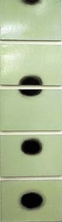 I/Eye