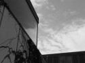 Open Sky