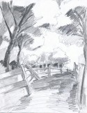 park landscape