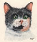 Green Eyed Cat