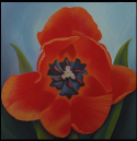 Red Tulip, No. 4