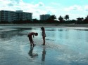 Tidal Pool Dreamers