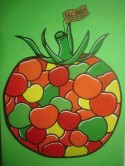 Florida Tomatoes