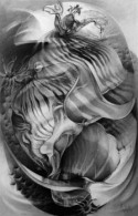 Shell 1