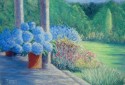 Hortensias