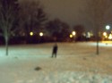 solitude 1