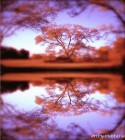 Autumns reflections