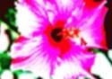 Glass Flower