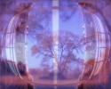 laketreeglobe
