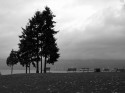Stanley Park
